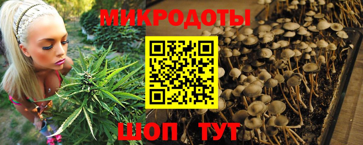 Галлюциногенные грибы MAGIC MUSHROOMS Ростов Великий