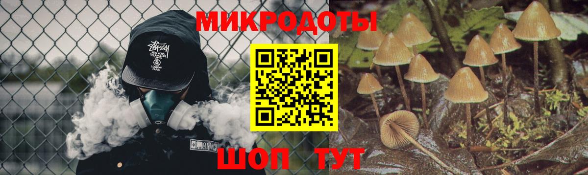 Ростов Великий  купить наркотик  Псилоцибиновые грибы Magic Shrooms  Вход с VPN  Галлюциногенные грибы мицелий 